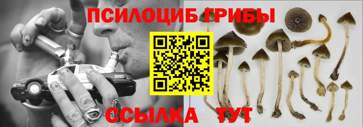 Псилоцибиновые грибы мухоморы  Горно-Алтайск 
