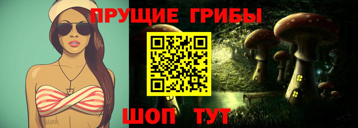 Псилоцибиновые грибы Cubensis  Вход с VPN  Горно-Алтайск 