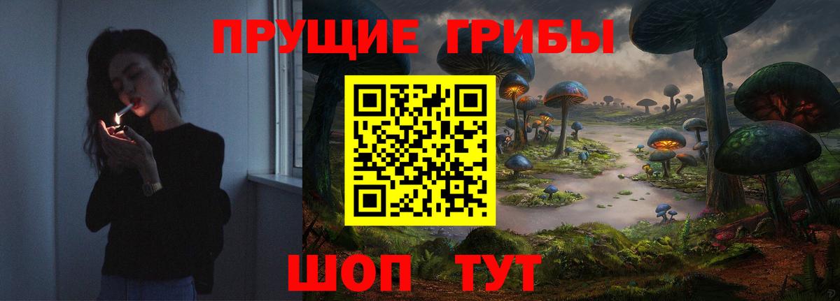 Галлюциногенные грибы MAGIC MUSHROOMS Горно-Алтайск